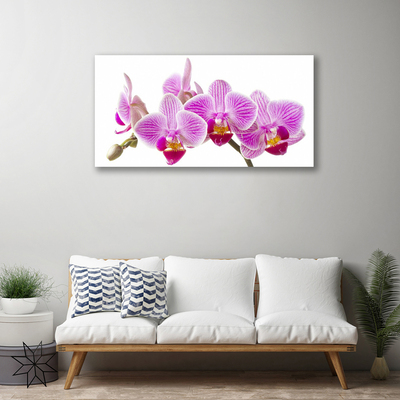 Quadro em tela Flores Planta Natureza