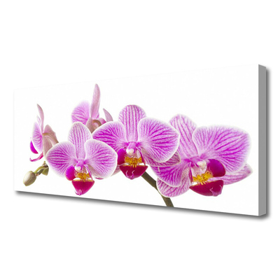 Quadro em tela Flores Planta Natureza