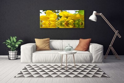 Quadro em tela Flores Planta Natureza