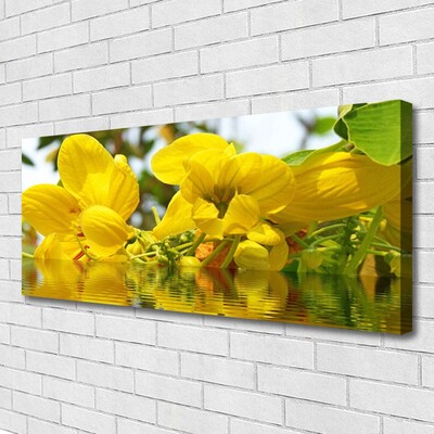 Quadro em tela Flores Planta Natureza