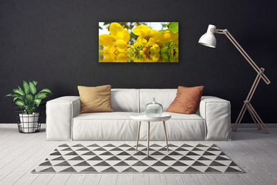 Quadro em tela Flores Planta Natureza