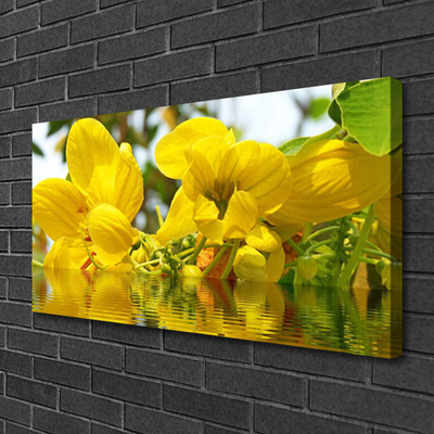 Quadro em tela Flores Planta Natureza