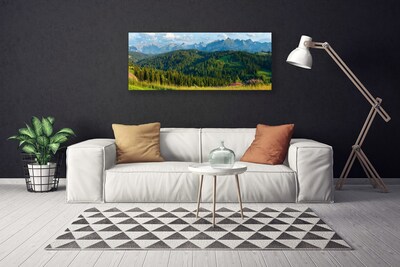 Quadro canvas Natureza da Floresta da Montanha