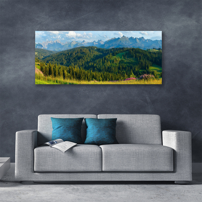 Quadro canvas Natureza da Floresta da Montanha