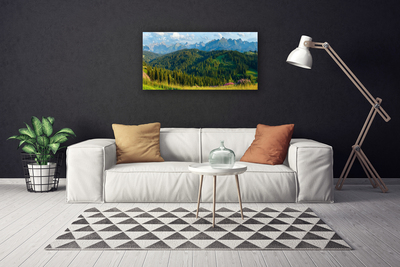 Quadro canvas Natureza da Floresta da Montanha