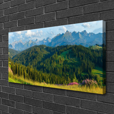 Quadro canvas Natureza da Floresta da Montanha