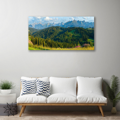 Quadro canvas Natureza da Floresta da Montanha