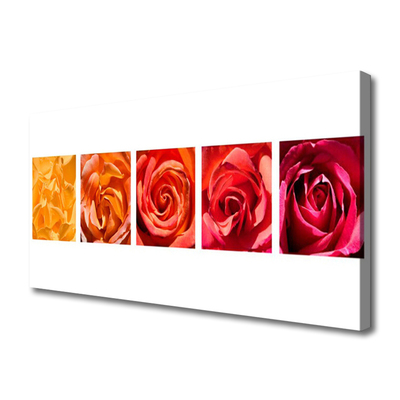 Quadro em tela Planta de flores rosas