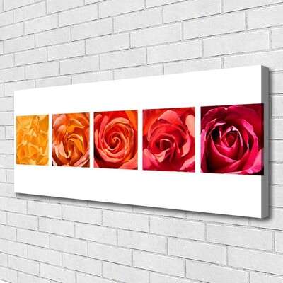 Quadro em tela Planta de flores rosas