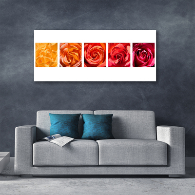 Quadro em tela Planta de flores rosas