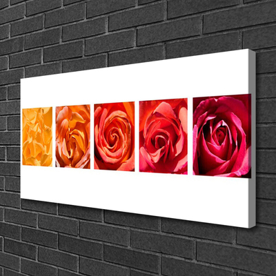 Quadro em tela Planta de flores rosas