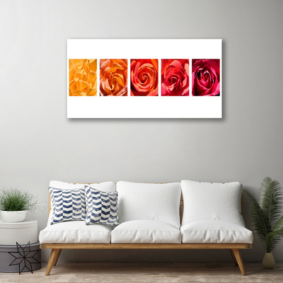 Quadro em tela Planta de flores rosas