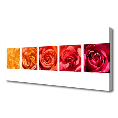 Quadro em tela Planta de flores rosas