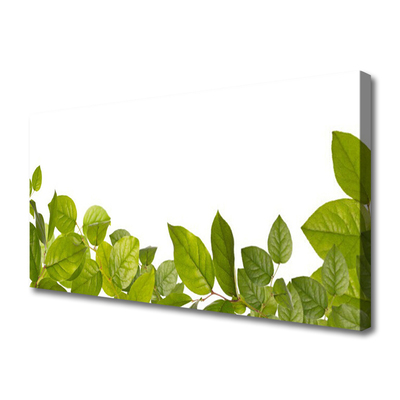 Quadro canvas Folhas Natureza Planta