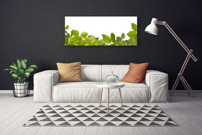 Quadro canvas Folhas Natureza Planta