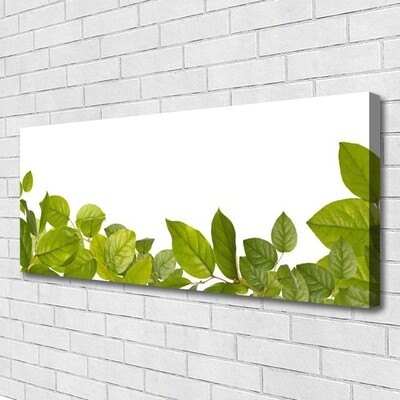 Quadro canvas Folhas Natureza Planta