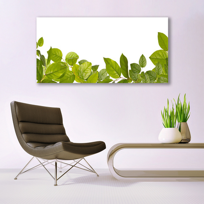 Quadro canvas Folhas Natureza Planta