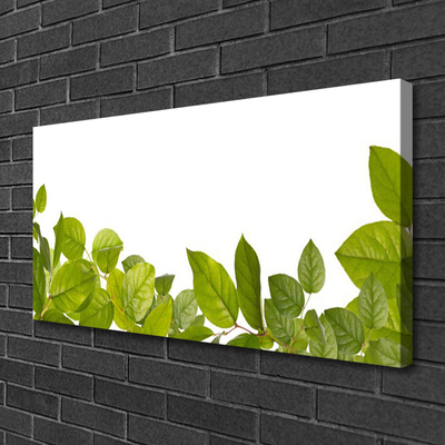 Quadro canvas Folhas Natureza Planta