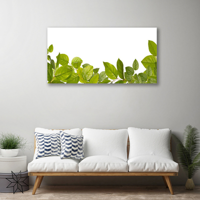 Quadro canvas Folhas Natureza Planta