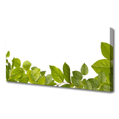Quadro canvas Folhas Natureza Planta