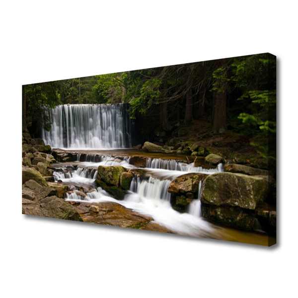Quadro em tela Cachoeira Floresta Natureza