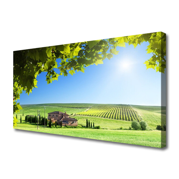 Quadro em tela Paisagem de folhas de campo