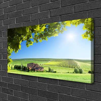 Quadro em tela Paisagem de folhas de campo