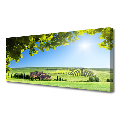 Quadro em tela Paisagem de folhas de campo