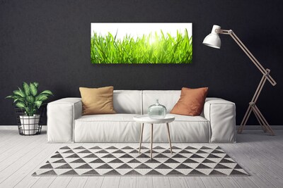 Quadro canvas Natureza da planta grama