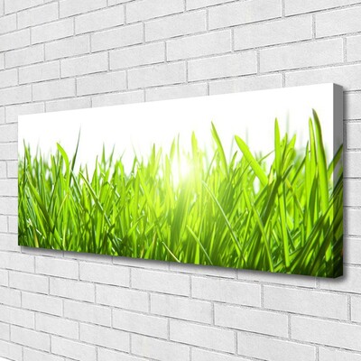 Quadro canvas Natureza da planta grama