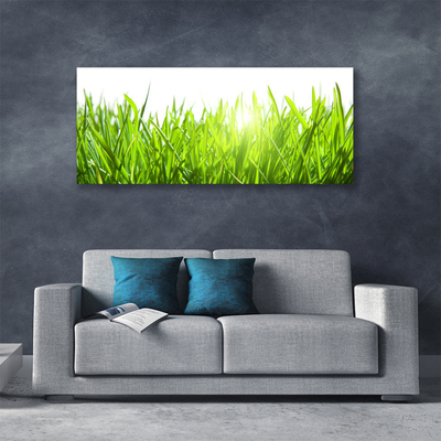 Quadro canvas Natureza da planta grama