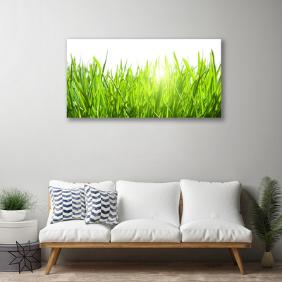 Quadro canvas Natureza da planta grama