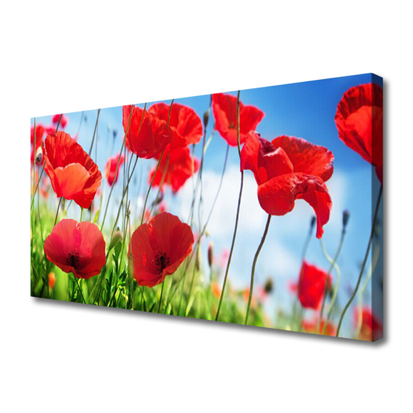 Quadro canvas Papoulas Plantam Natureza