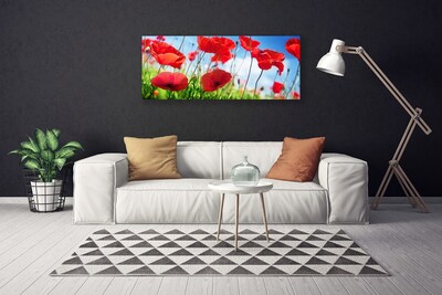 Quadro canvas Papoulas Plantam Natureza