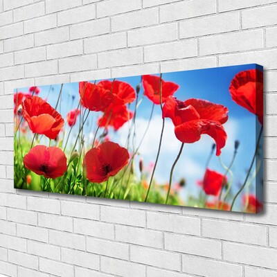 Quadro canvas Papoulas Plantam Natureza