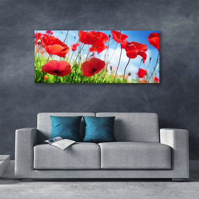 Quadro canvas Papoulas Plantam Natureza