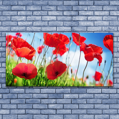 Quadro canvas Papoulas Plantam Natureza