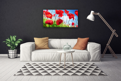 Quadro canvas Papoulas Plantam Natureza