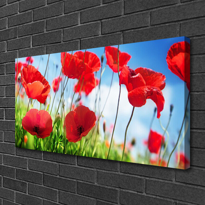 Quadro canvas Papoulas Plantam Natureza