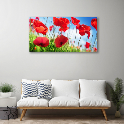 Quadro canvas Papoulas Plantam Natureza