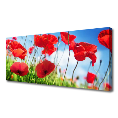 Quadro canvas Papoulas Plantam Natureza