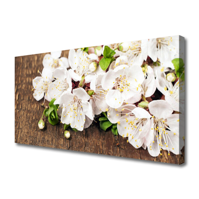 Quadro canvas Flores Planta Natureza