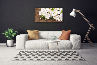 Quadro canvas Flores Planta Natureza