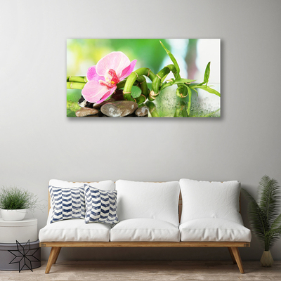 Quadro em tela Caule de bambu planta natureza