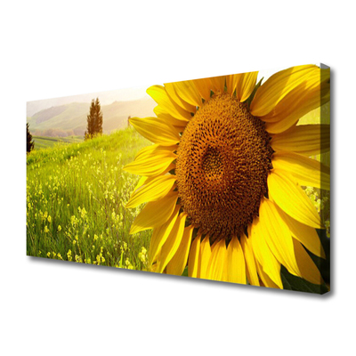 Quadro canvas Planta de flor de girassol