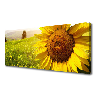 Quadro canvas Planta de flor de girassol