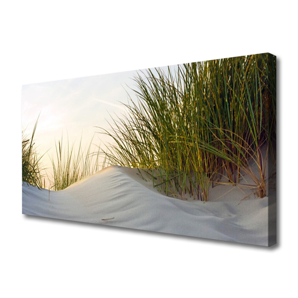 Quadro canvas Paisagem de grama de areia