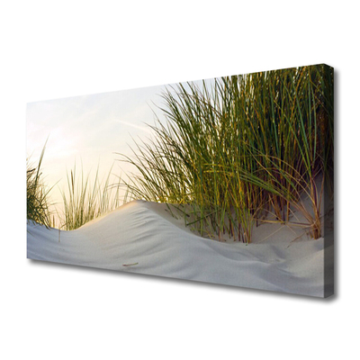 Quadro canvas Paisagem de grama de areia