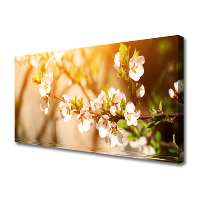 Quadro canvas Flores Planta Natureza
