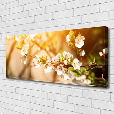 Quadro canvas Flores Planta Natureza